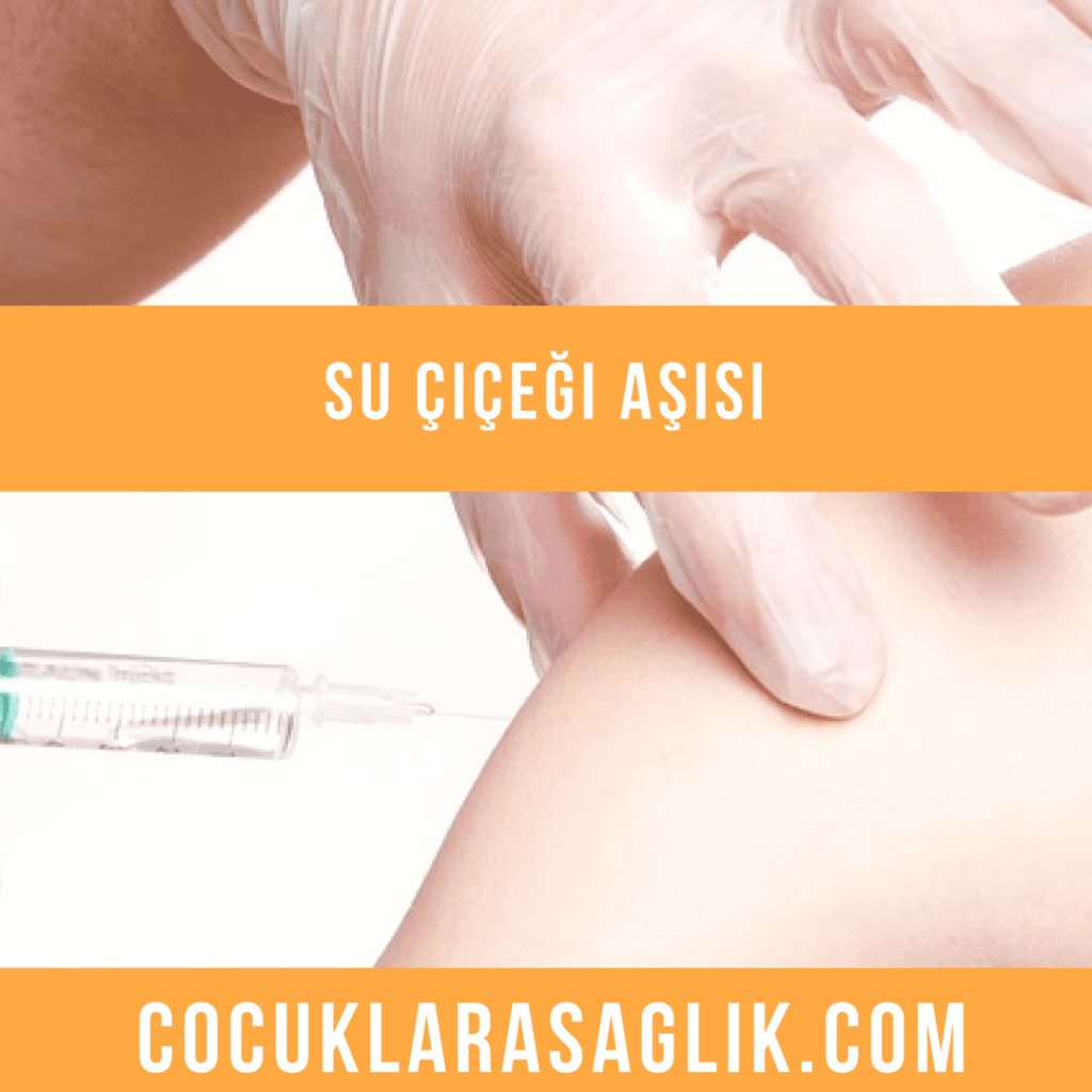 su çiçeği aşısı
